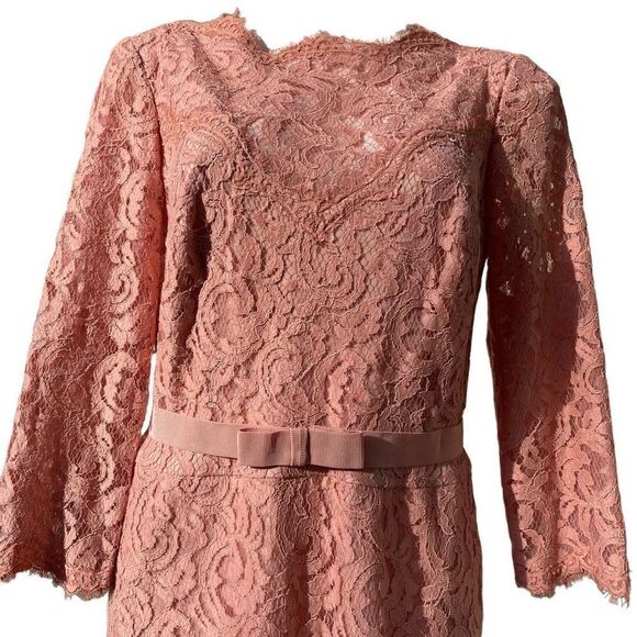 Tadashi Shoji blush Evening Dress Gown Cocktail Wedding Lace Lined Pink Size 12 - Picture 4 of 14